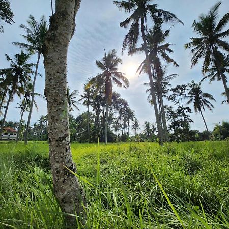 Casa Idea Ubud 외부 사진