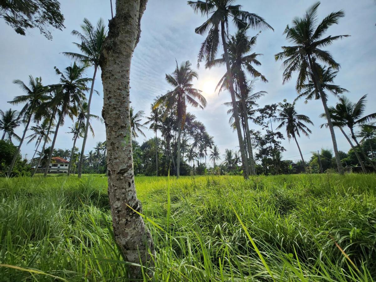 Casa Idea Ubud 외부 사진